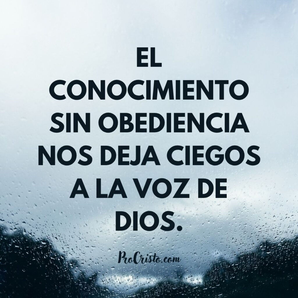 ¿Dios le habló a un profeta usando un burro? Lo que Balaam nos enseña sobre obedecer la voz de Dios 2 Blue Modern Daily Quotes Facebook Post