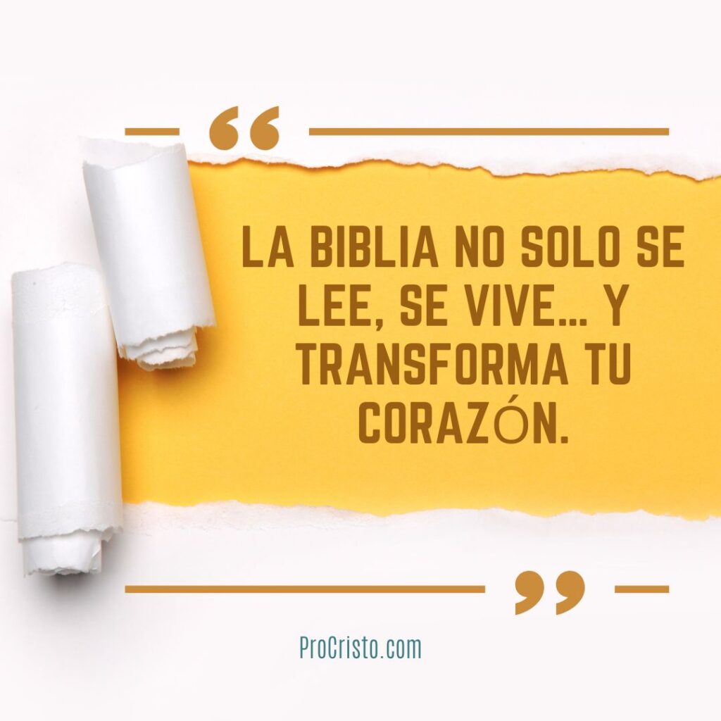¿Por qué la Biblia es importante? Descubre cómo transforma tu vida 2 C00000034