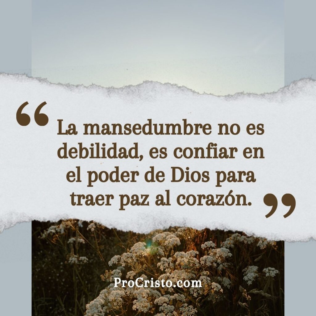 LA FUERZA DE LA MANSEDUMBRE: EL CAMINO HACIA LA PAZ INTERIOR 2 C00000626