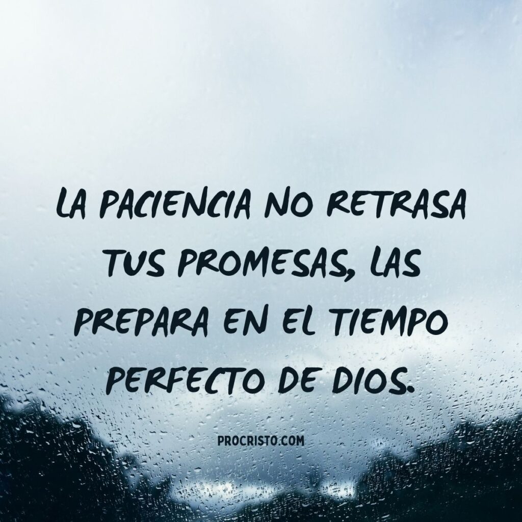 PACIENTE, PERO CON PROPÓSITO: CÓMO LA PACIENCIA TE ACERCA A DIOS 2 C00000628